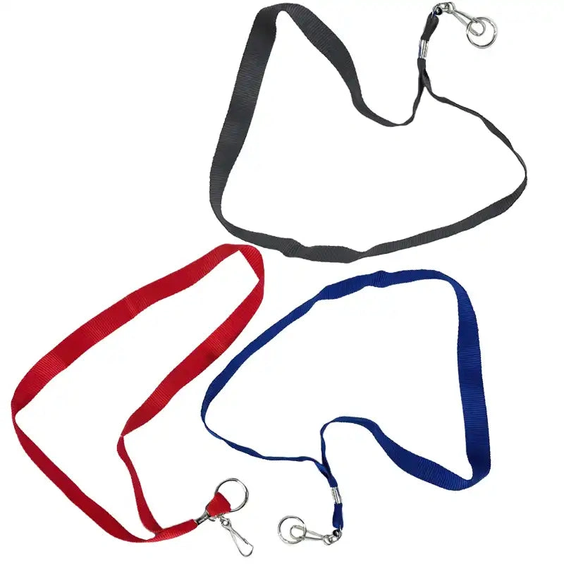 Colorful Lanyard Sets - Perfect for IDs, Keys & More!
